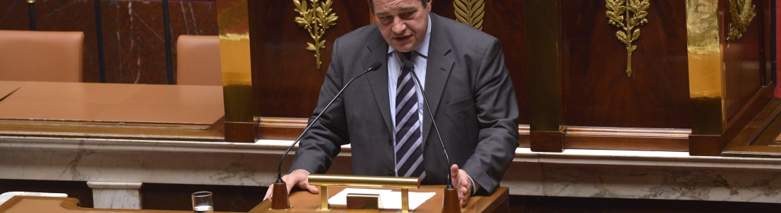 Lutte contre la GPA – Intervention du 16 juin 2015