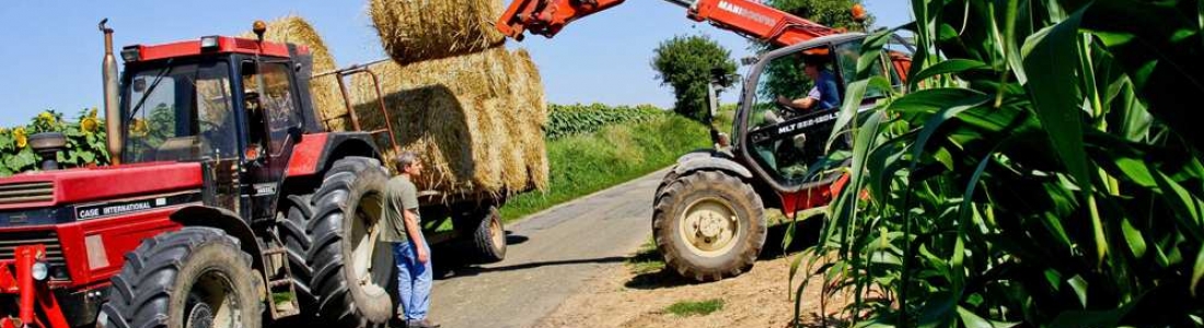 Revenus agricoles 2014 – Question écrite au Ministre de l’agriculture.