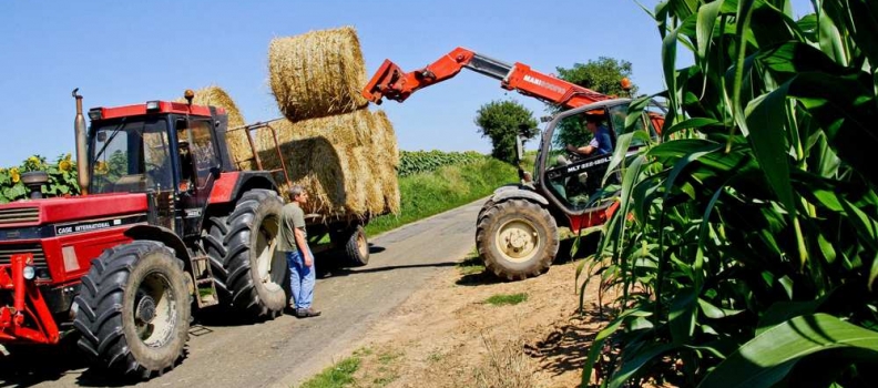 Revenus agricoles 2014 – Question écrite au Ministre de l’agriculture.