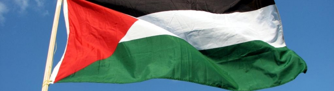 Résolution sur la Palestine : je voterai contre.