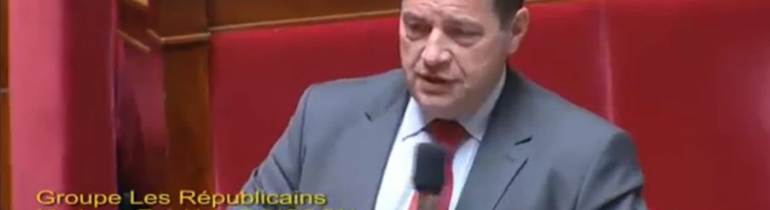 Question au gouvernement sur le TAFTA – 25 mai 2016